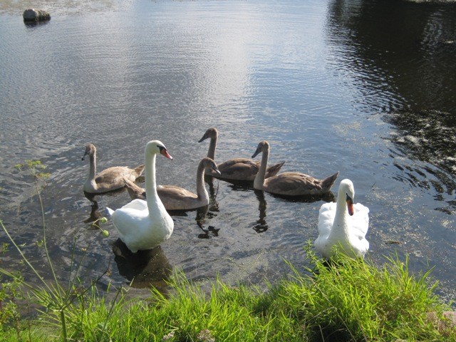 Rodzina w kąplecie:)