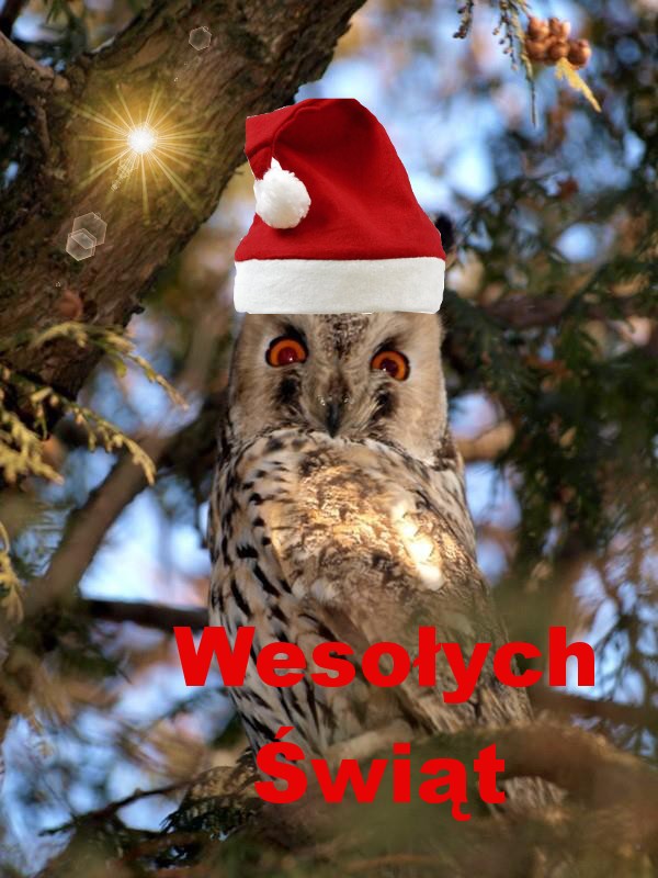 WESOŁYCH