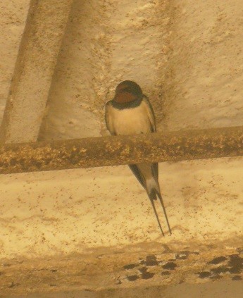 marcowe przyjaciele dziadka