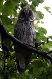 Więcej