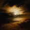 Nocny ...
