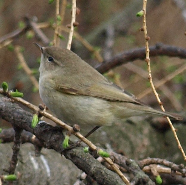 z cyklu na tej samej ...