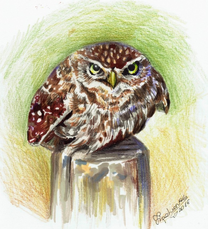 Wyzwanie rysunkowe - ...