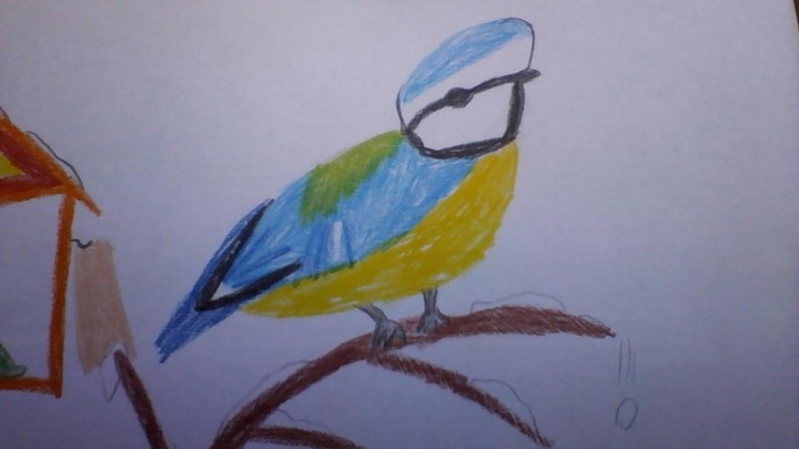 Modraszka dla DagiEm ...