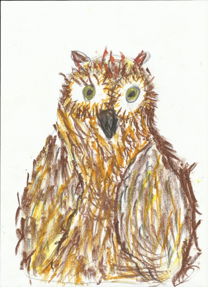 sowa