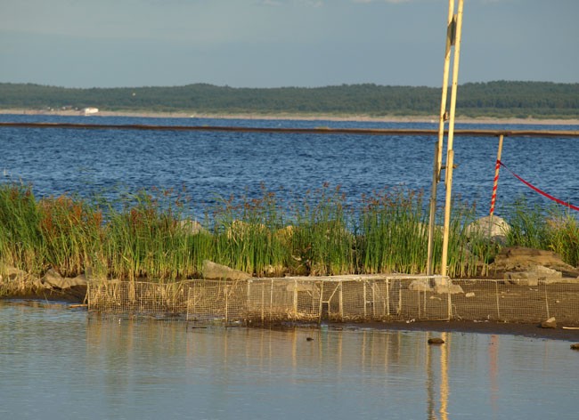 wacek o poranku :)