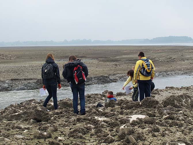 Racicznice- świetny pokarm ...