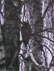 Więcej Więcej