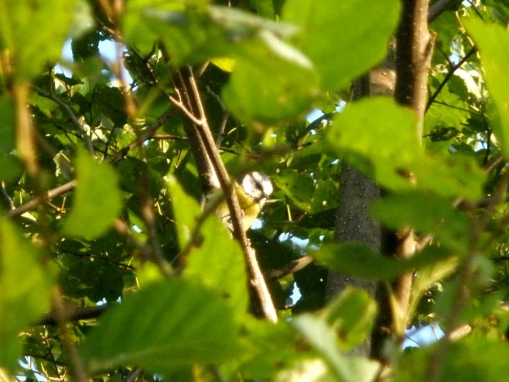 Zagadka dla początkujących.