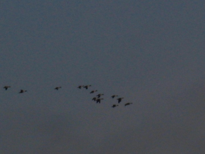 klucz,ale czy do drzwi