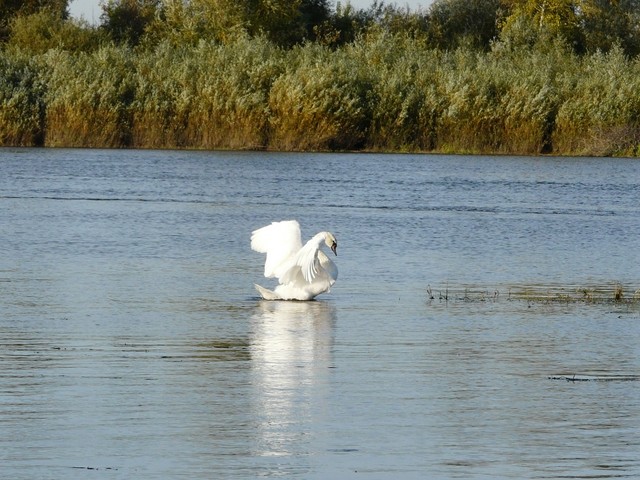 Z niedzielnego spaceru
