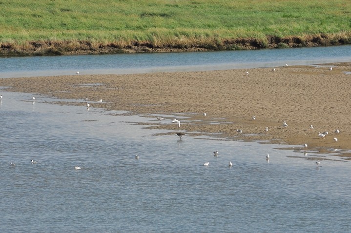 Takie widoki można oglądać ...