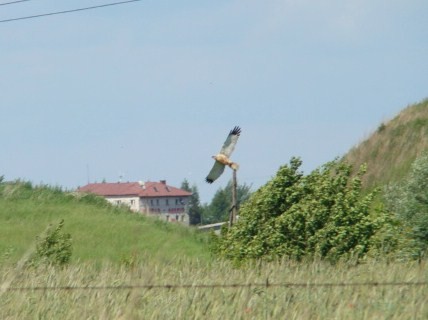 Kto odgadnie??:)