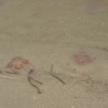Meduzy - ...