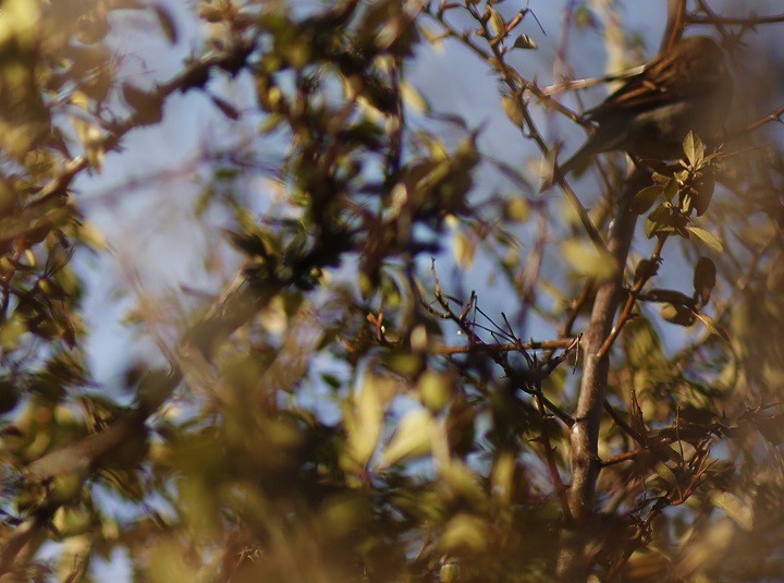 Zgadka dla początkujących. :)