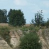 Kuzyni :)