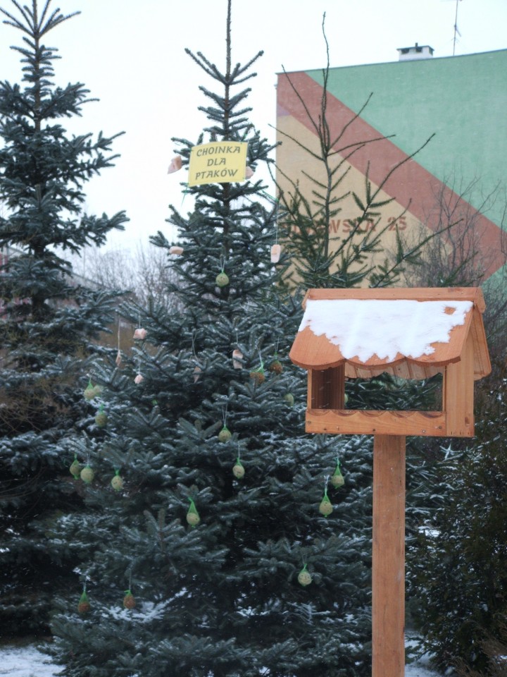 Choinka dla ptaków
