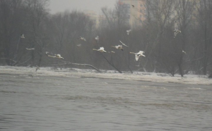 Lądowanie.