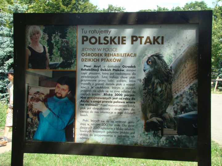 wszystcy znamy, i słusznie...