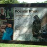 wszystcy ...