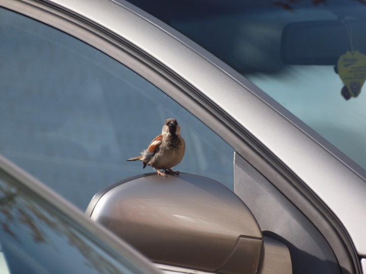 W południe na lusterku...