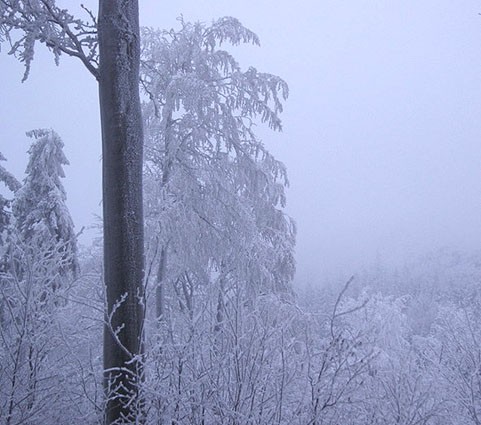 Na granicy chmur