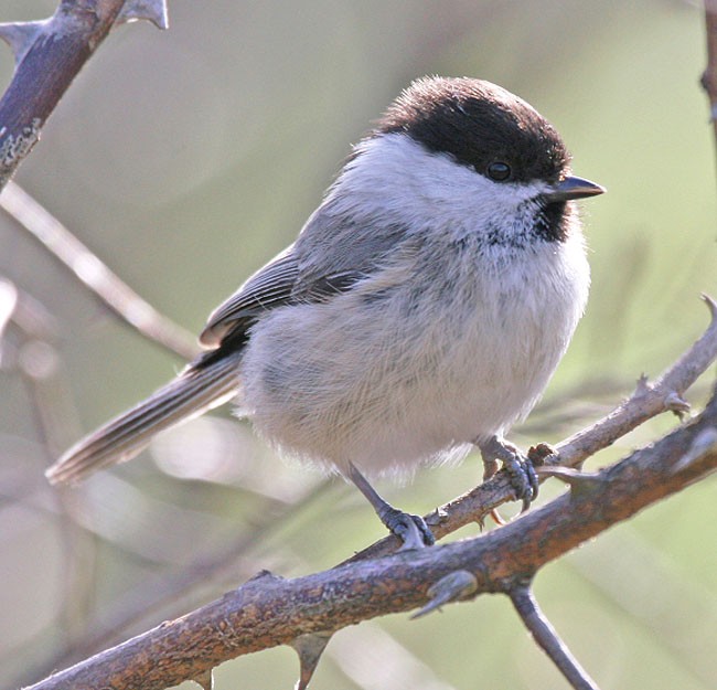 inne ujęcie tej samej ...