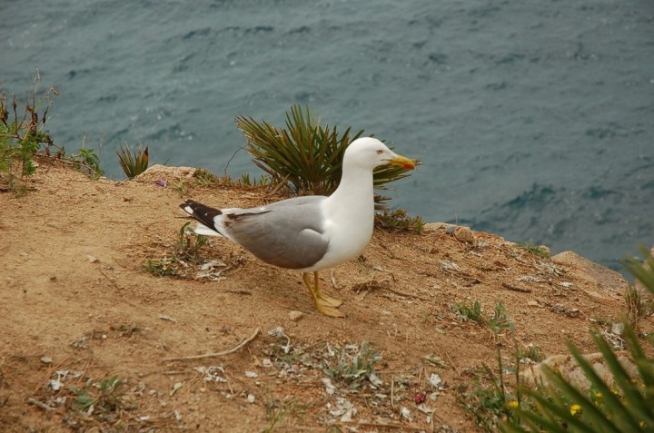 Srebrzysta po raz kolejny