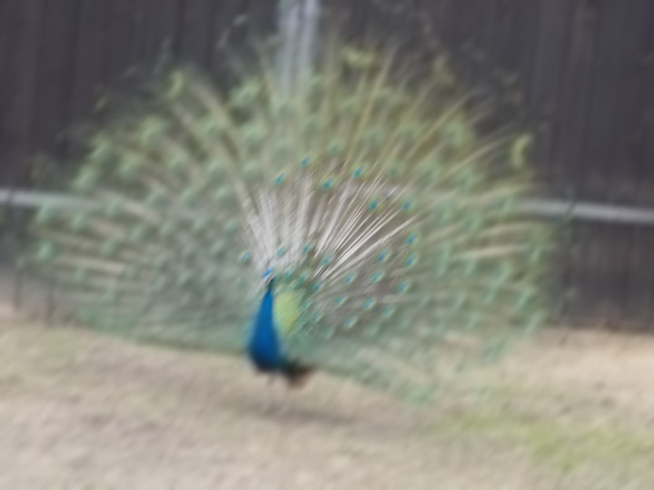 Pewnego dnia na moich ...