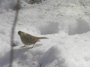 Więcej