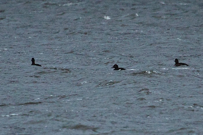 Uhle na Bukówce - dokumentacyjne