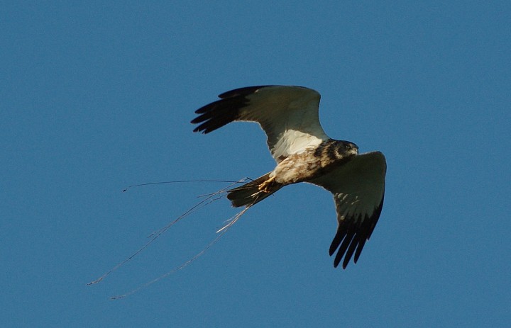 Zagadka dla początkujących ...