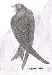 Więcej