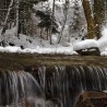 Górski ...
