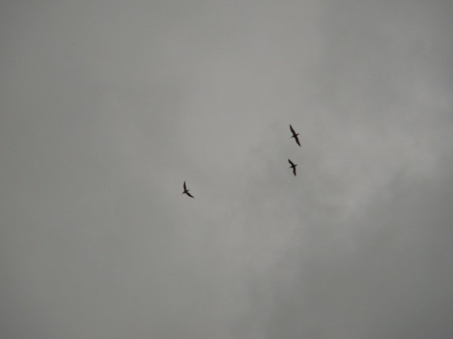 ale co to to nie wiem