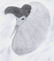 Więcej