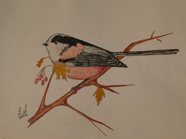 Rysunki Luke22, za zgodą ...