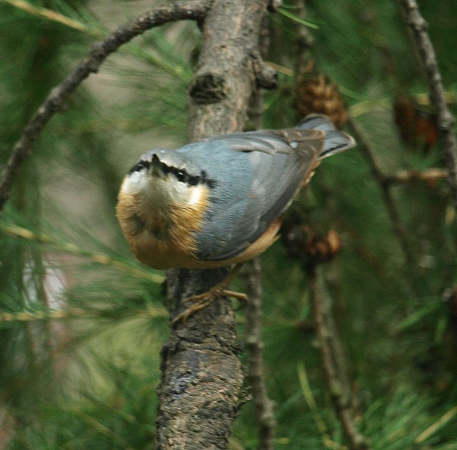 z cyklu na tej samej ...