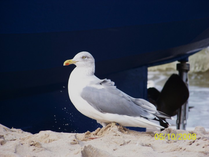 Wspaniały dzien na spacer!