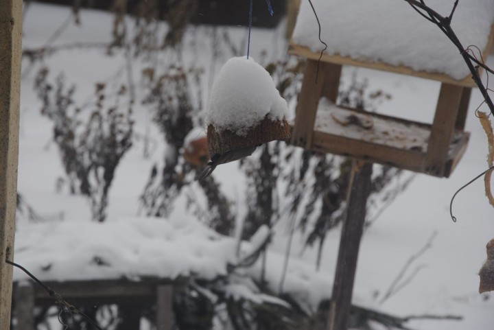 Podpowiedź do zagadki