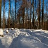 Zima w ...