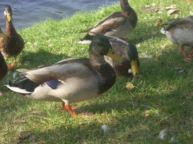 Ogród Botaniczny Lublin