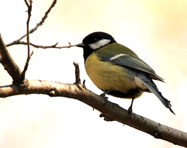 No to za tydzień  liczymy ...
