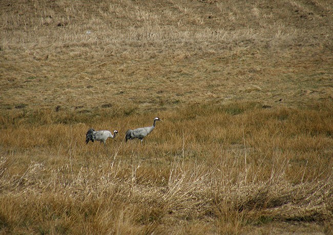 Dla Kamila, który doczekał ...