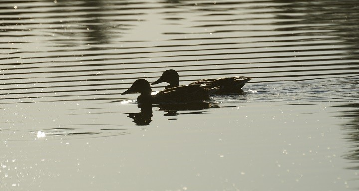 W blasku słońca...