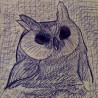 Portret ...