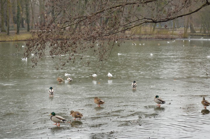 Ostatnie dni ferii 1