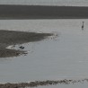 Jezioro ...