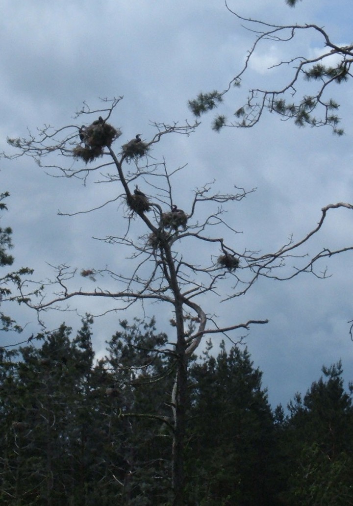 Gdzie to może być ? zagadka
