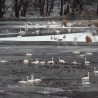 Częśc ...